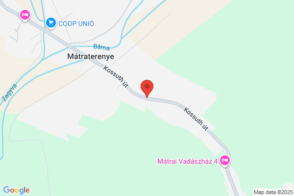 Gyógyszertár Boróka