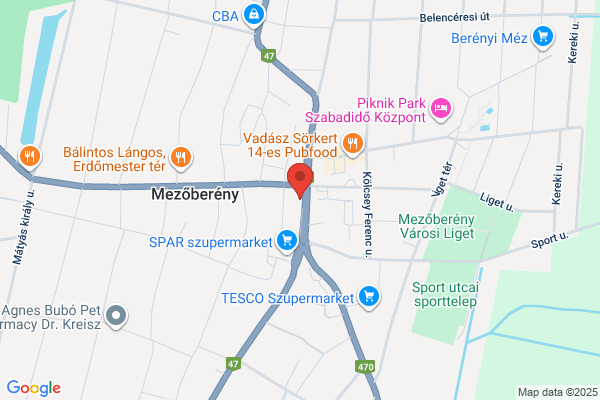 Orlai Petrics Soma Múzeum
