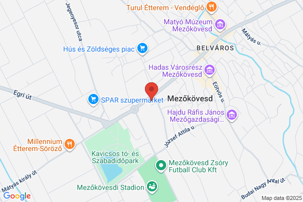 dm-drogerie markt Kft.