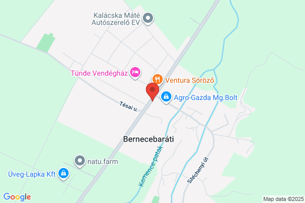 Barát Panzió Vendéglője