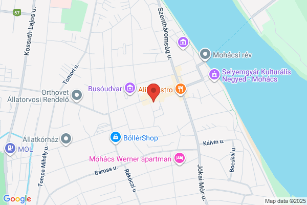 Otp Bank