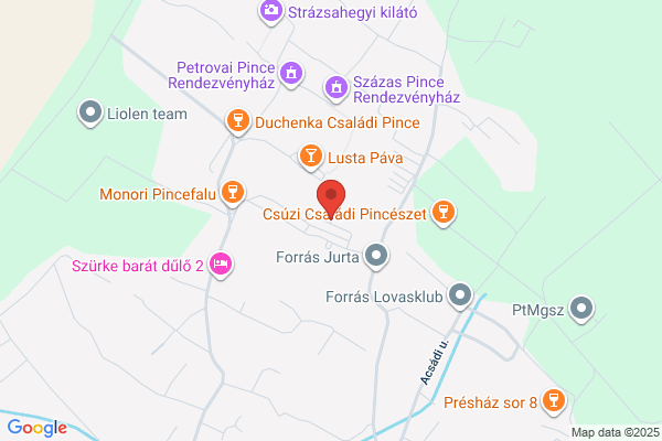Czeglédi György Borospincéje