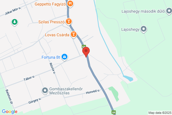 Bőzsöny és Társa Kft.