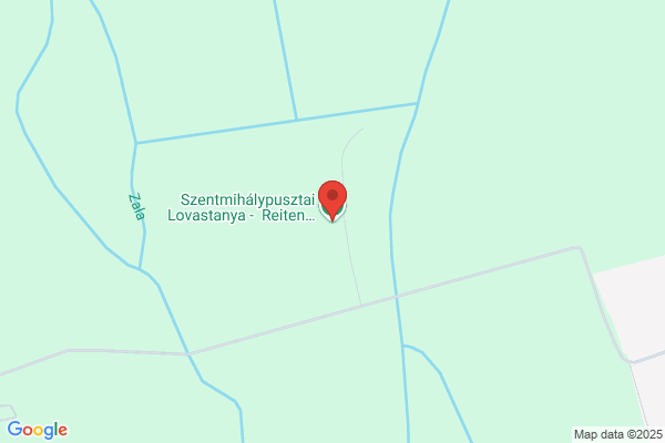 Festetich Panzió És Lovarda