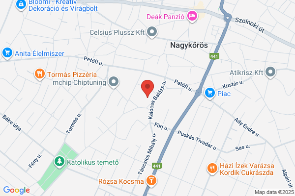 Dalmady Győző Általános Iskola