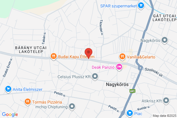 Kőrisfa Gyógyszertár Bt.