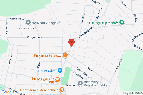 Varázskő Kft.