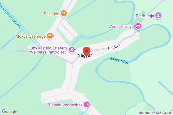 Könyvtár