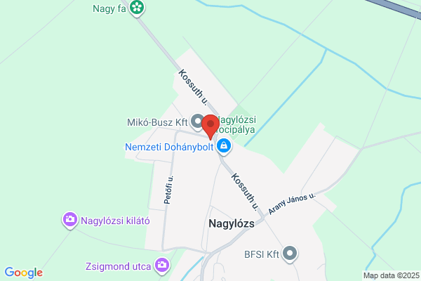 Gyógyszertár Ezüsthárs