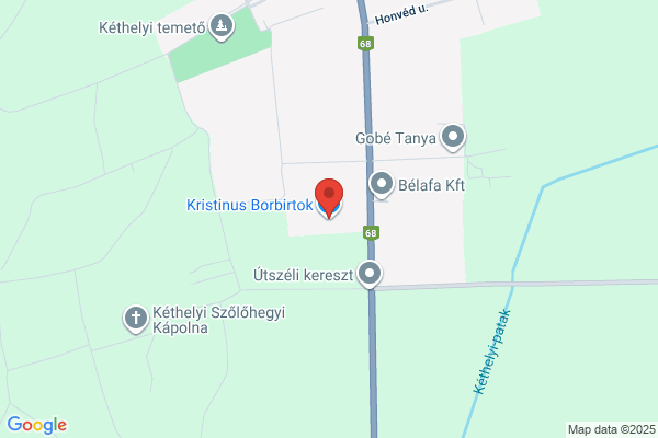 Könyvtár