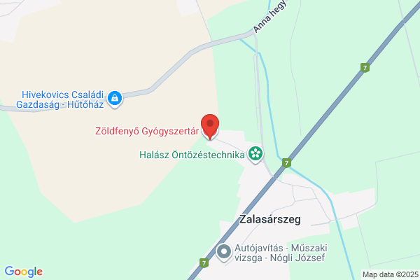Zöldfenyő Gyógyszertár