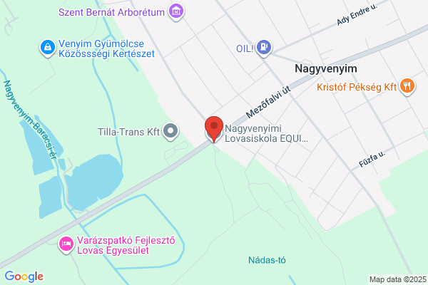 LÁNG Autóalkatrész Pak 9000 Bt.