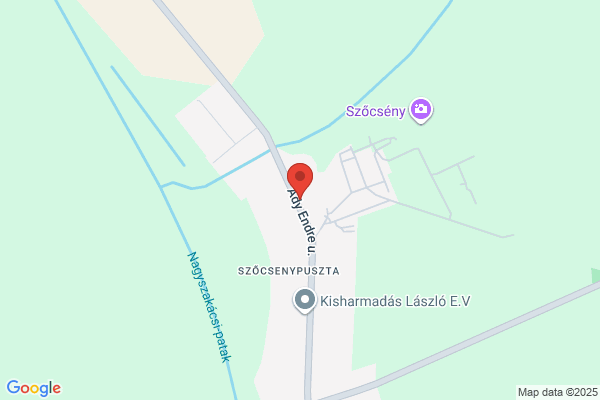 Medgyaszay István Szakképző Iskola