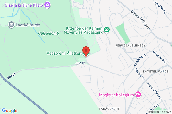 Állatkórház Veszprém