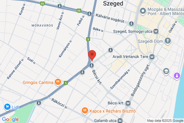 Gyógyszertár Arany Oroszlán