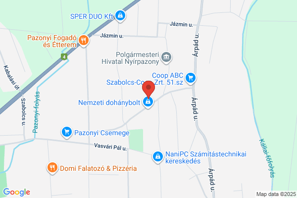 Egészségügyi Szolgáltatás