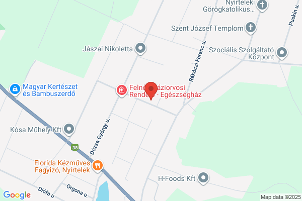 Szőlőskerti Általános Iskola