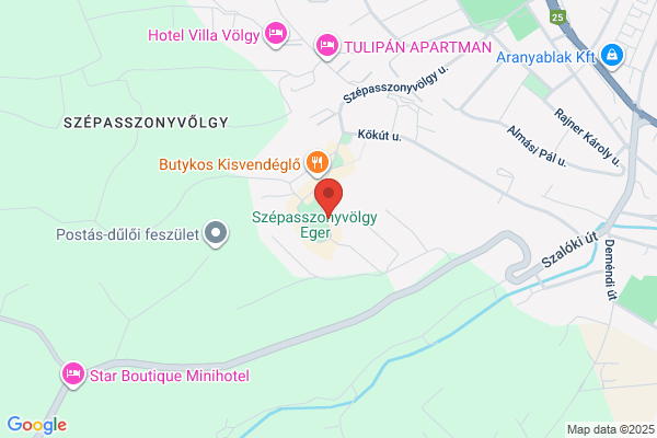 Kocsis És Társa