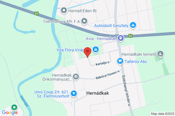 Radványi Autószerviz Kft.