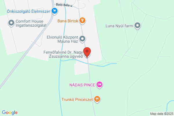 Fenyőfalviné Dr. Nagy Zsuzsanna Ügyvéd