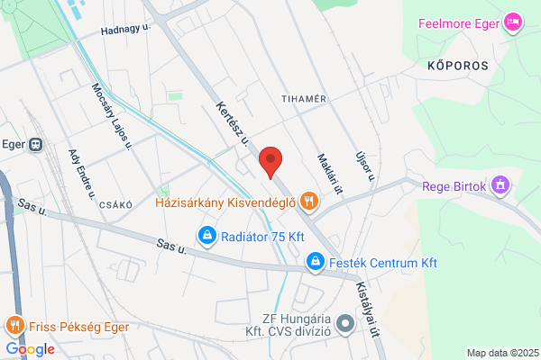 Házisárkány Kisvendéglő