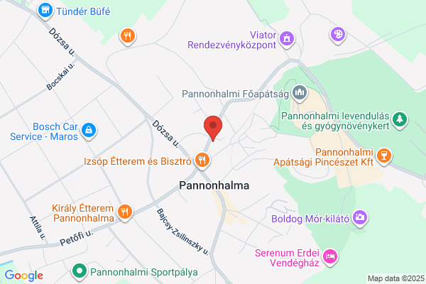 Pannon Panzió Étterem