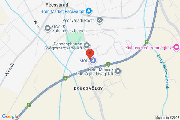 Gesztenyés Panzió Étterme