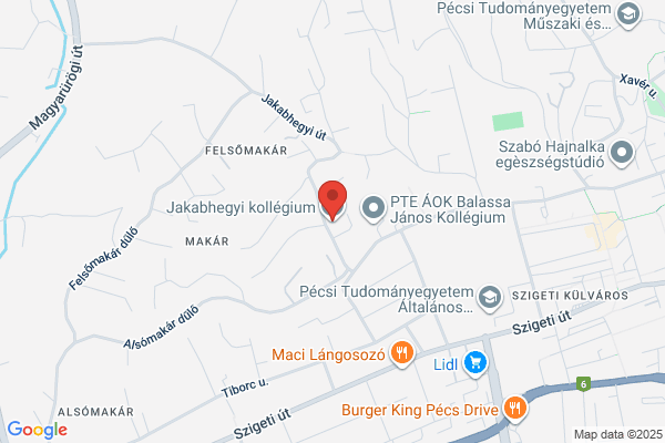 Mozgástani Intézet