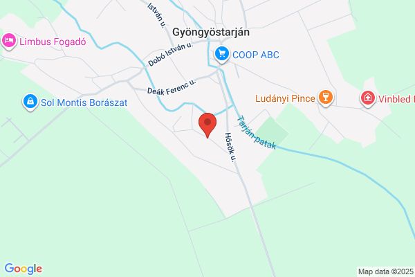 Czeglédi György Borospincéje