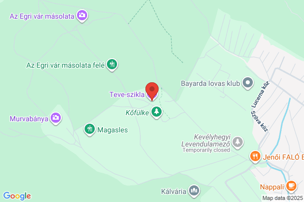 Szomjas Teve Kisvendéglő