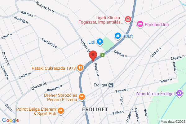 Arany Erdő Kínai Étterem