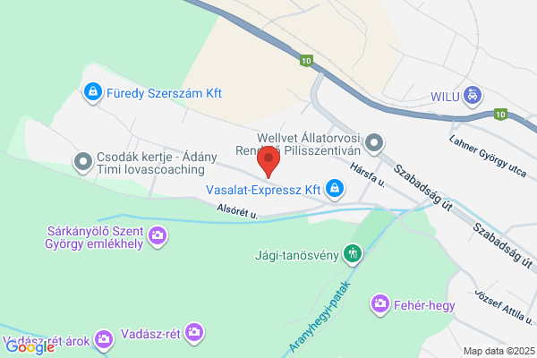 Aranyseprű Vendéglő