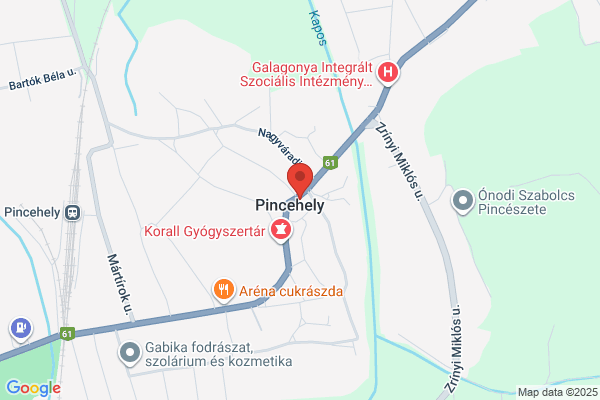Pincehely-Ozora És Vidéke Tak.Szöv.