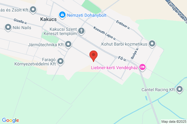Kőzetek Encsy György Magángyűjt.E