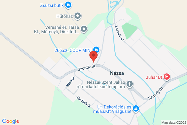 Német Nemz., Kétt. Általános Iskola