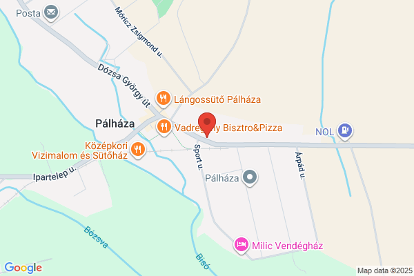 Silvanus Panzió