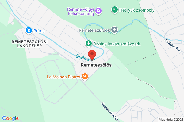 Arany Erdő Kínai Étterem