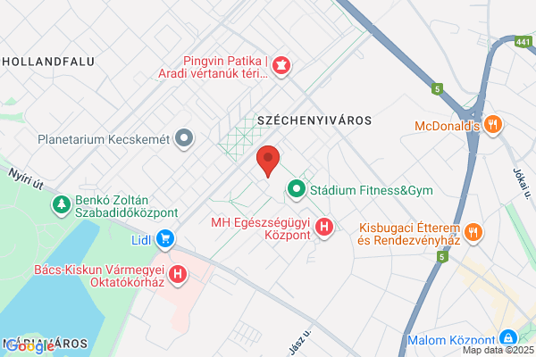 Gyógyszertár Transylvania