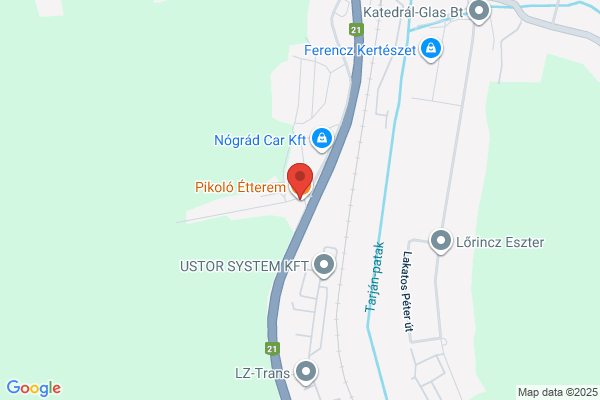 Salgó Gumiszerviz