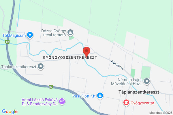 Szőke Gumi Kft.