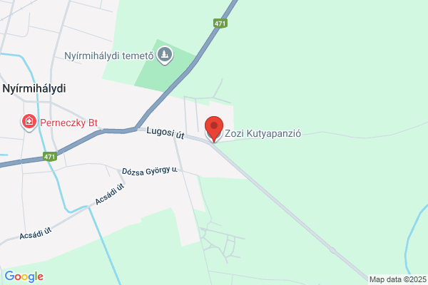 Zozi Kutyapanzió