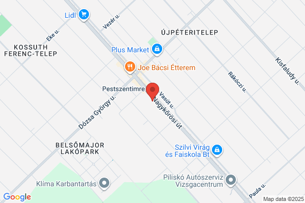 Szenci Molnár Albert Ref. Ált. Isk.