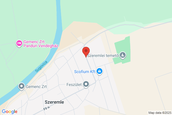 Könyvtár