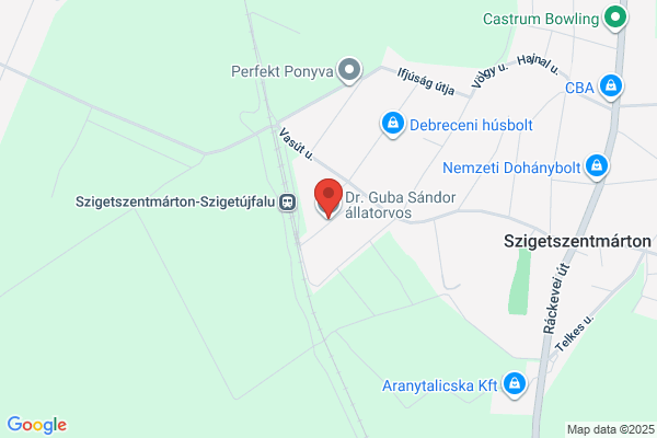 Könyvtár