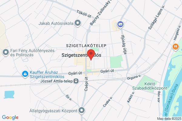 Kígyó Gyógyszertár