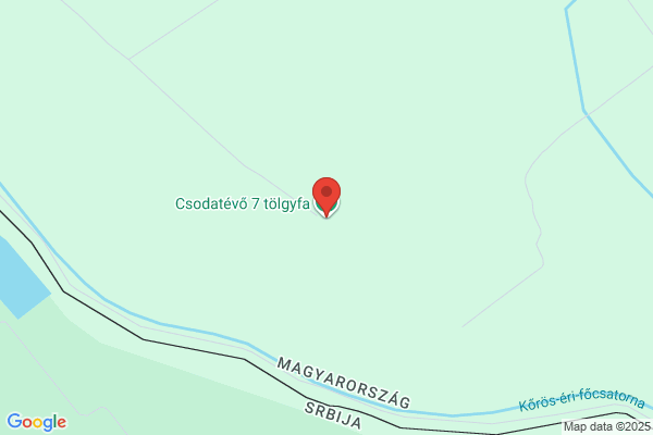 Eü Központ Tüdőgondozó Intézet