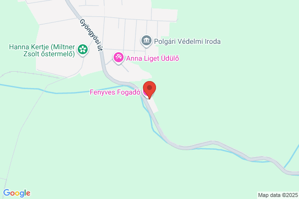 Fenyves Fogadó Panzió