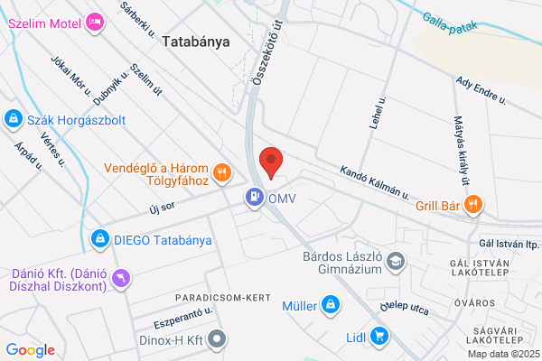 Nissan Császár Tatabánya