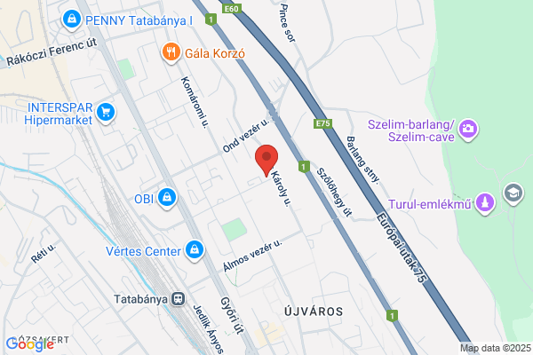 Tatabányai Munkaügyi Bíróság
