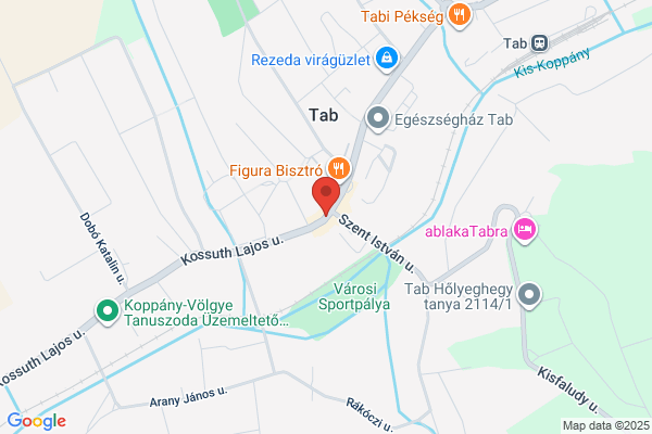 Otp Bank